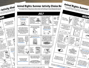Summertime Kindness to Animals Activity Choice Boards