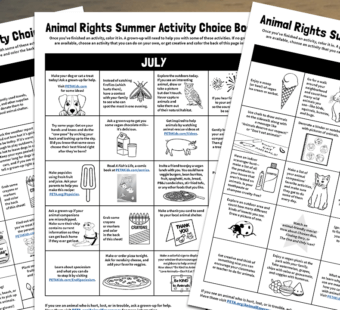 summer activity choice boards