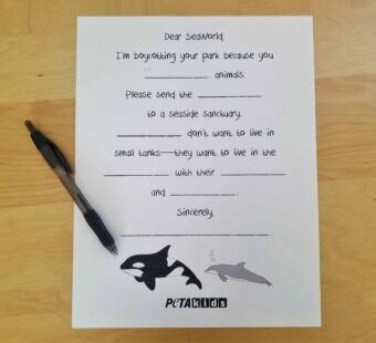 fill-in-the-blank SeaWorld AdLib