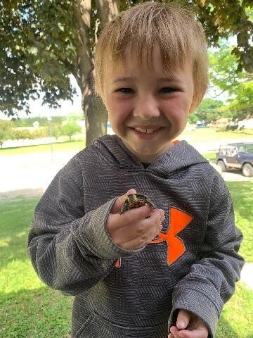 boy helping a turtle cross the road