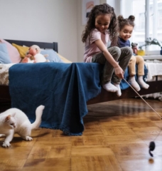 kids playing with cat
