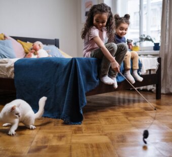 kids playing with cat