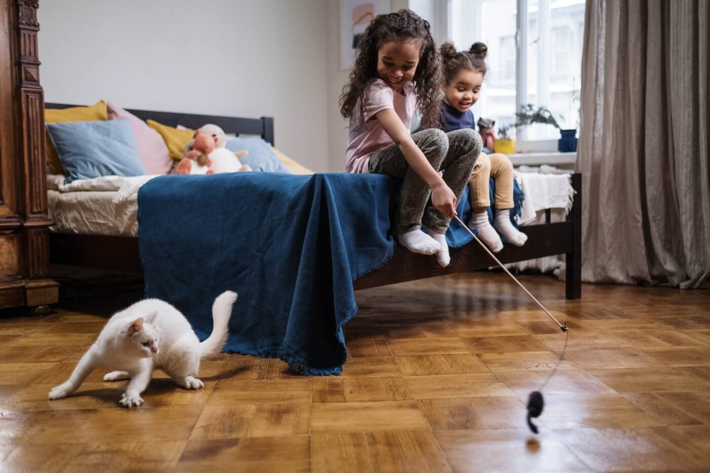 kids playing with cat