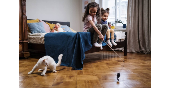 kids playing with cat