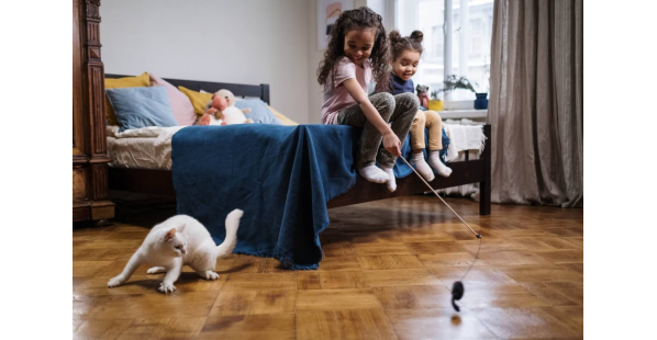 kids playing with cat