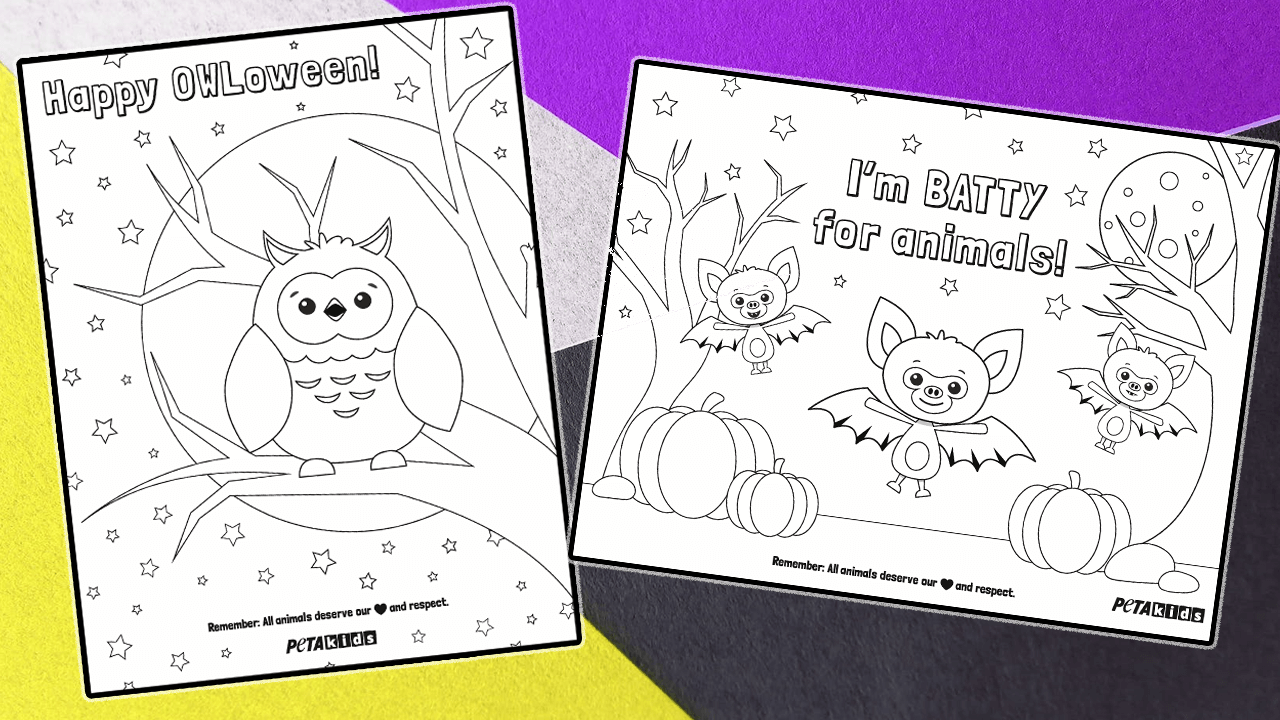 51  Animal Coloring Pages Halloween Best