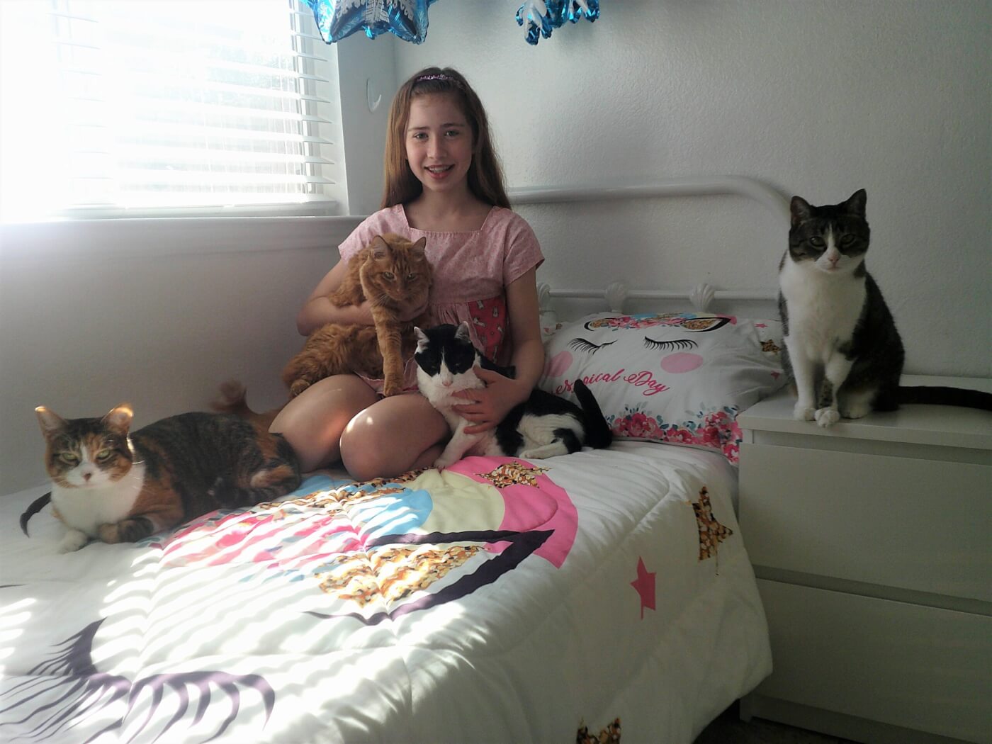 Heidi and her cats