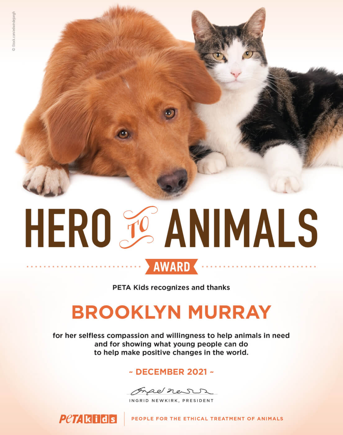 Arlington Girl Wins PETA Award for Birthday Wish | PETA Arlington Girl Wins PETA Award for Birthday Wish | PETA