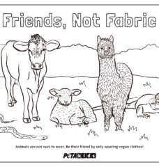 ‘Friends, Not Fabric’ Coloring Sheet