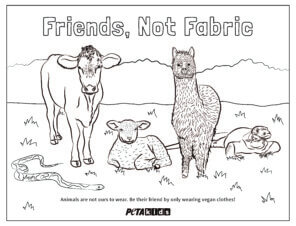 ‘Friends, Not Fabric’ Coloring Sheet