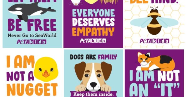 animal stickers for kids by peta