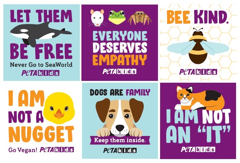 peta kids stickers