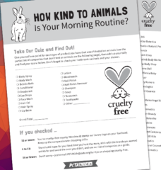 How Kind to Animals Is Your Morning Routine?