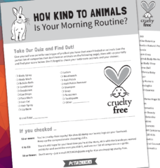 cruelty-free morning routine