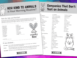 Take the Quiz: Which Animal Are You Most Like? | PETA Kids