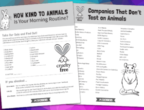 Take the Quiz: Which Animal Are You Most Like? | PETA Kids Take the Quiz: Which Animal Are You Most Like? | PETA Kids