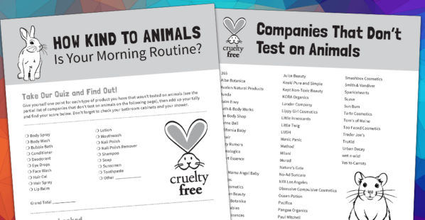 Take the Quiz: Which Animal Are You Most Like? | PETA Kids Take the Quiz: Which Animal Are You Most Like? | PETA Kids