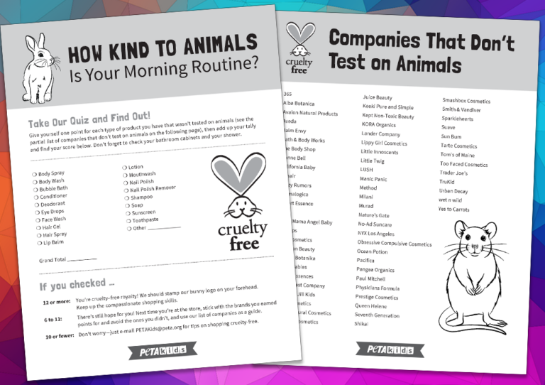How Kind to Animals Is Your Morning Routine? | PETA Kids