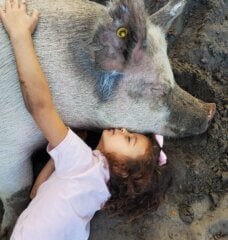 girl hugging a pig