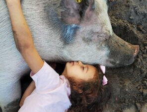 girl hugging a pig