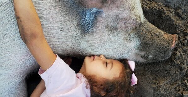girl hugging a pig
