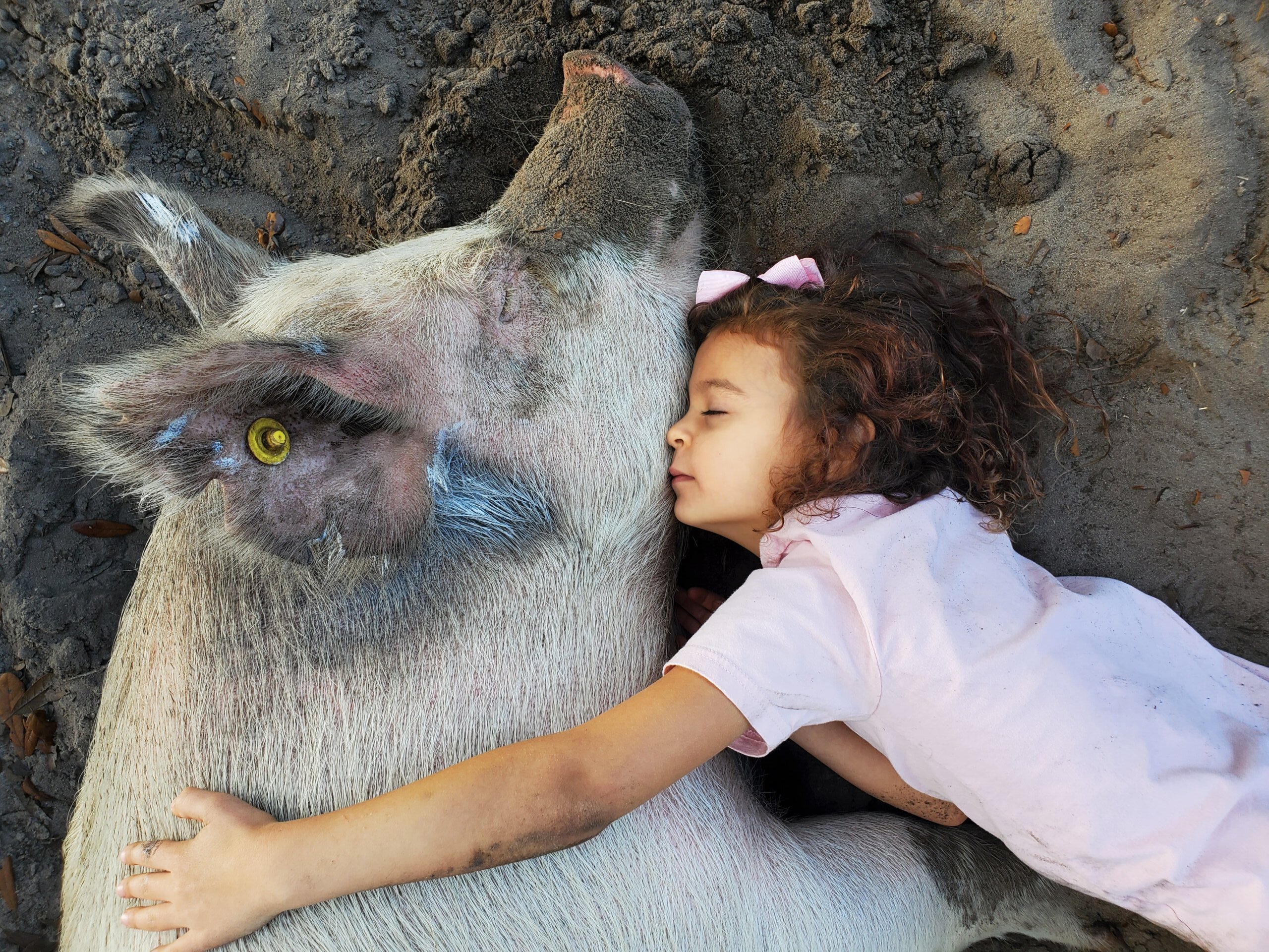 20211128 104701 scaled e1663191156358 Help Animals: Ideas for Kids Who Want to Speak Up
