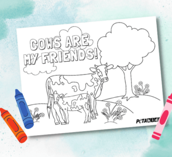 PETA Kids’ ‘Cows Are My Friends’ Coloring Page