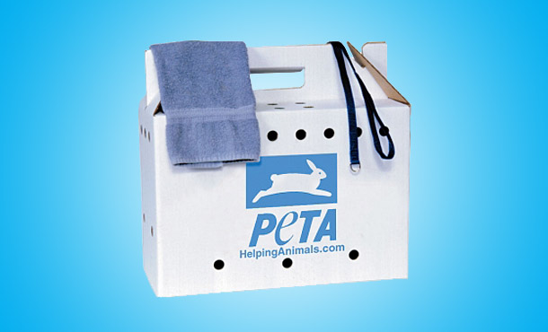 merch 610x370 AnimalRescueKit Help Animals: Ideas for Kids Who Want to Speak Up