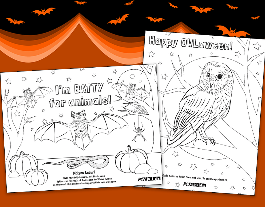 Halloween coloring pages