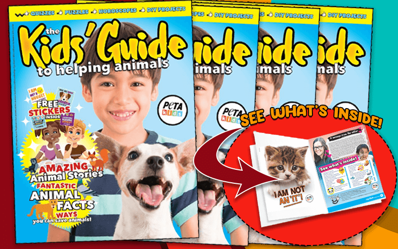 Free 'Kids' Guide to Helping Animals' Magazine | PETA Kids Free 'Kids' Guide to Helping Animals' Magazine | PETA Kids