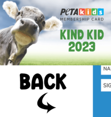image of the PETA Kids membership image card - front and back