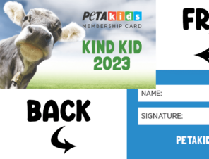 image of the PETA Kids membership image card - front and back