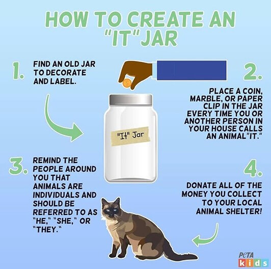 Make an 'It' Jar! | PETA Kids