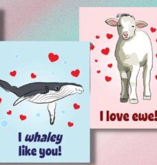 PETA Kids Valentine's Day cards