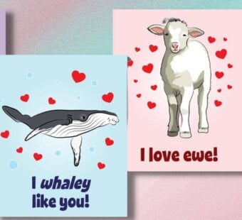 PETA Kids Valentine's Day cards