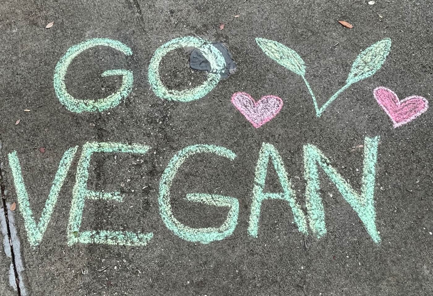chalk art on a driveway that says "go vegan"