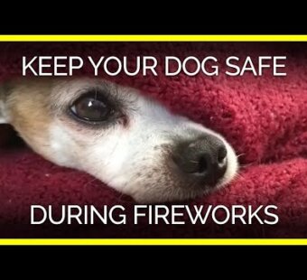 white and brown dog hidden under a red blanket with only their face sticking out. The text reads: Keep your dog safe during fireworks