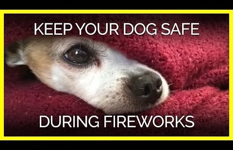 white and brown dog hidden under a red blanket with only their face sticking out. The text reads: Keep your dog safe during fireworks