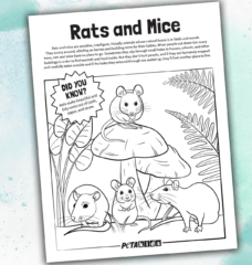 rats and mice coloring sheet on a blue blackground
