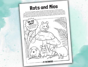 FREE ‘Rats and Mice’ Coloring Sheet