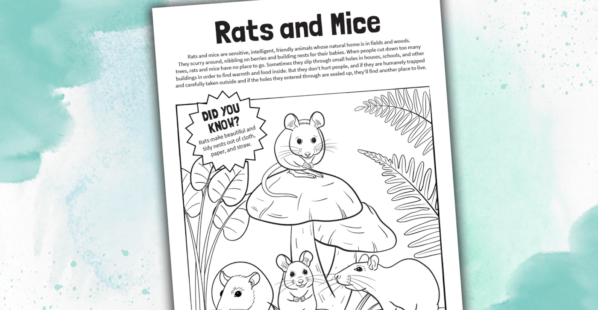 rats and mice coloring sheet on a blue blackground