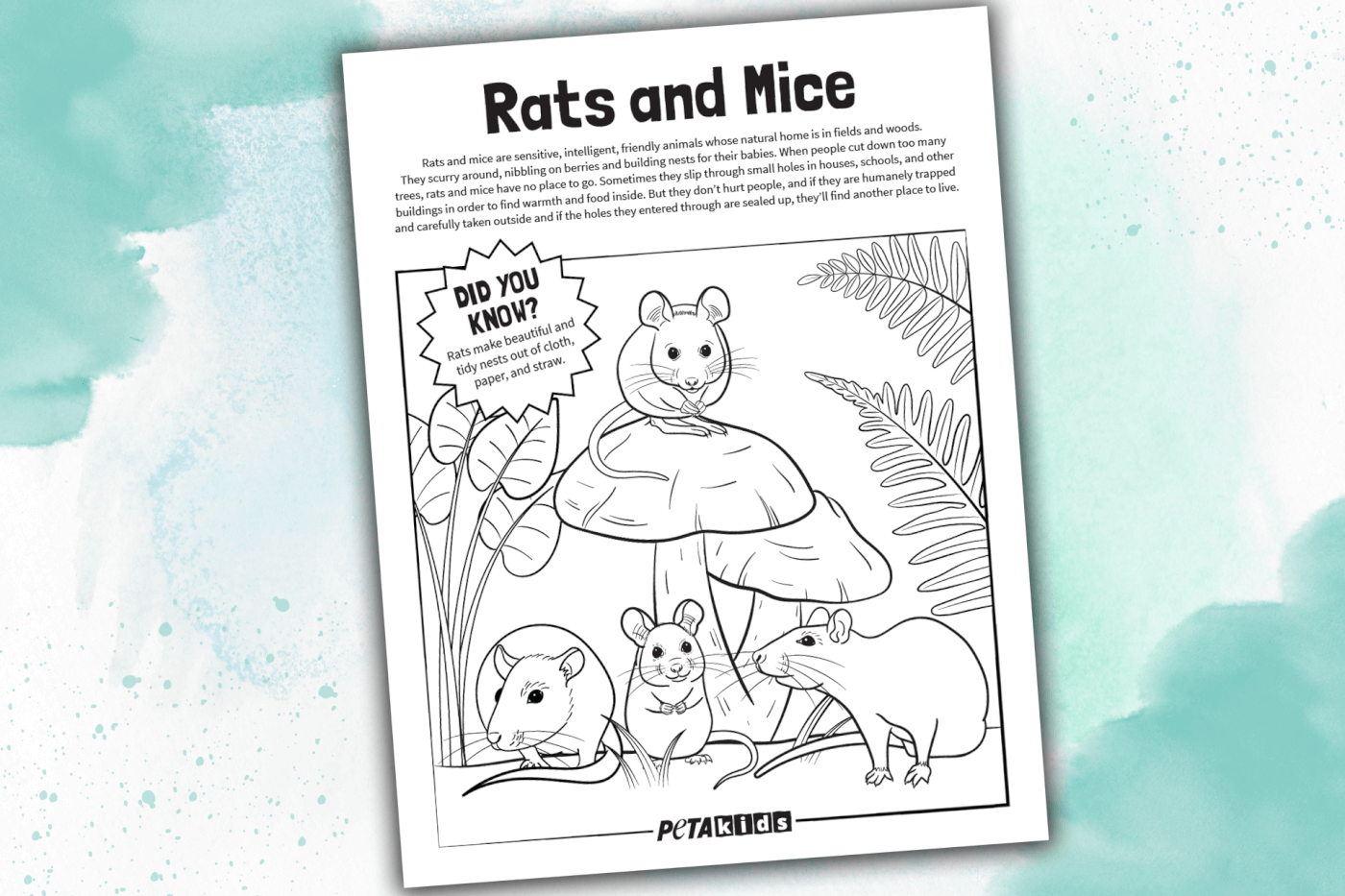 mouse and rat coloring sheet on a blue blackground