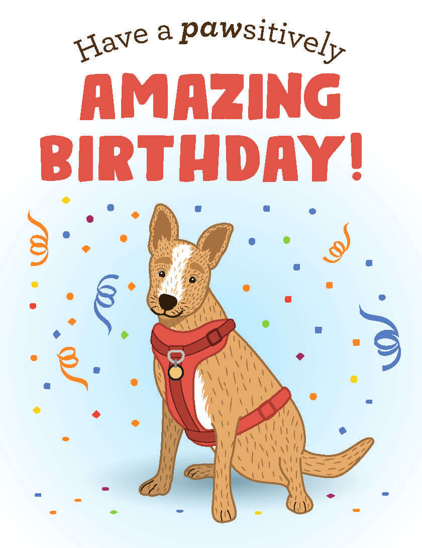 Birthday Cards for Kids | PETA Kids