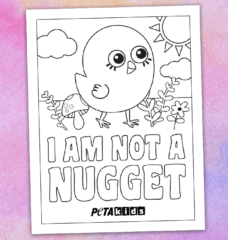 I am not a nugget coloring sheet