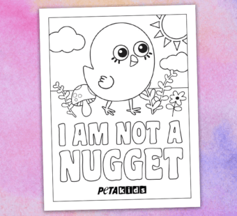 I am not a nugget coloring sheet