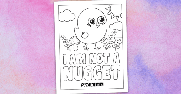 I am not a nugget coloring sheet