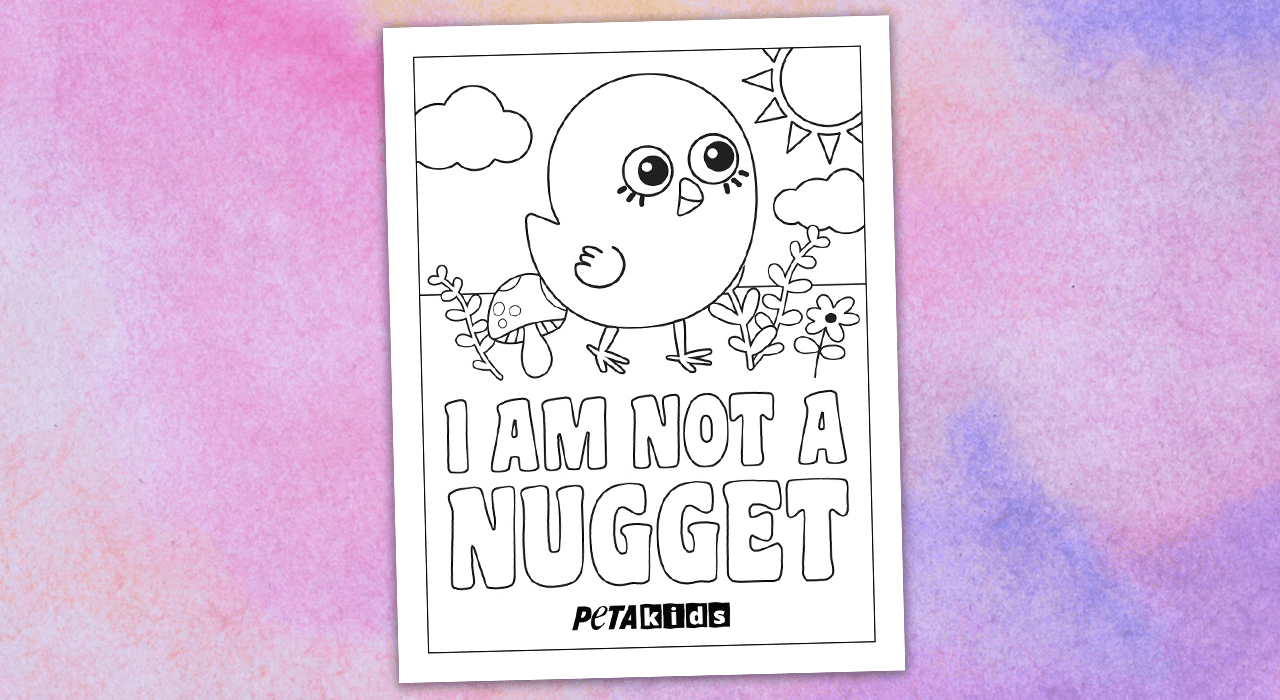 I am not a nugget coloring sheet 
