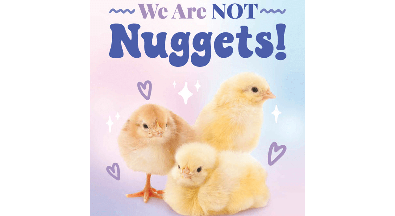 three chicks together on a pink, blue, and purple backgroud with text that reads: We are not nuggets!