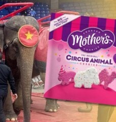 elephants used in circuses and Mother's Cookies packaging highlighting animals used in circuses.