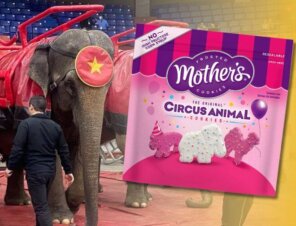 elephants used in circuses and Mother's Cookies packaging highlighting animals used in circuses.